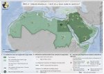 Carte. Défis et tensions régionales : l'unité de la Ligue arabe en question ? 